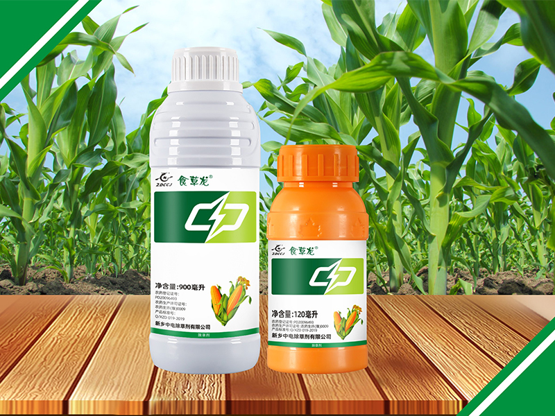 食草龍4.2%煙嘧磺隆